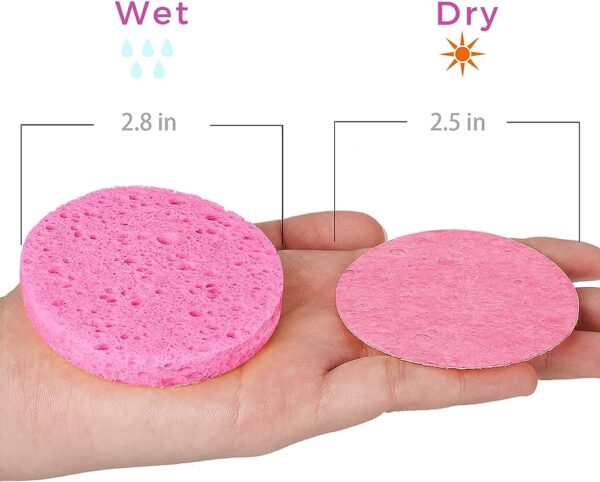 Compressed Facial Sponges 15 pack - Image 2